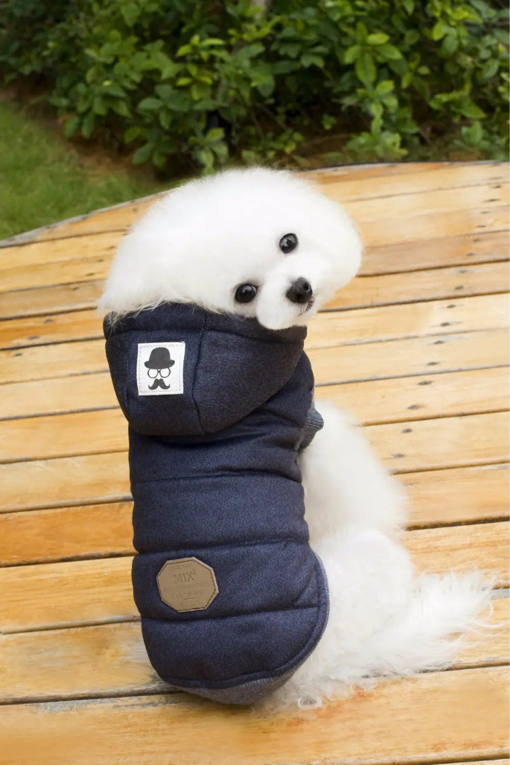 Pet Clothing, Autumn Winter Cotton Outfit for Dogs
