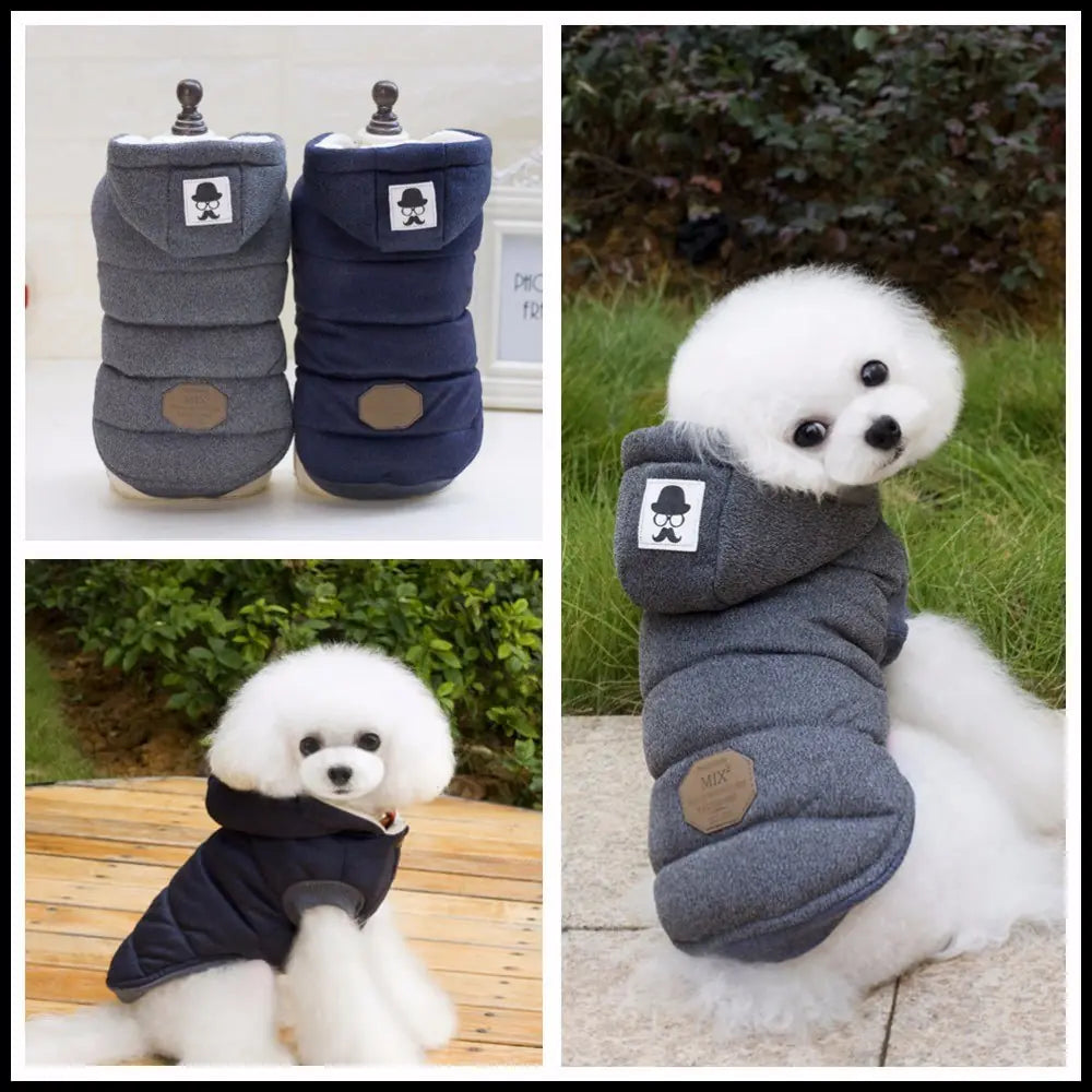Pet Clothing, Autumn Winter Cotton Outfit for Dogs