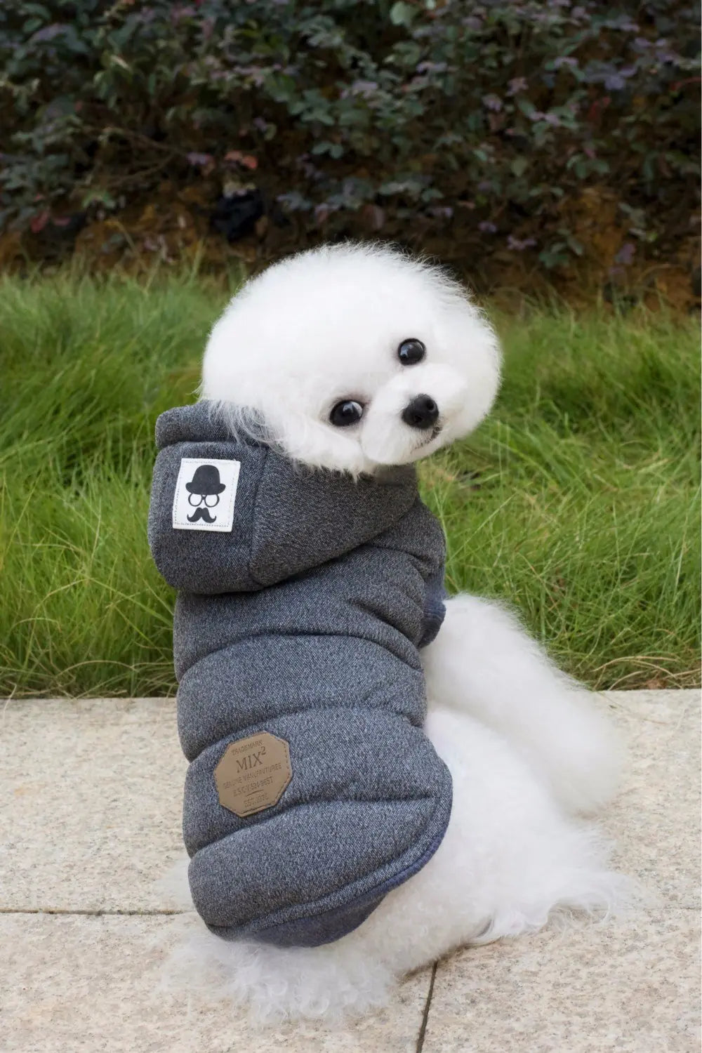 Pet Clothing, Autumn Winter Cotton Outfit for Dogs